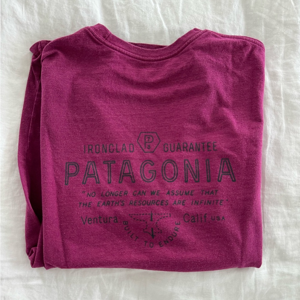 Patagonia Responsibili-tee